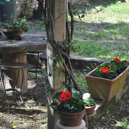 Διαμέρισμα Il Profumo Del Lauro