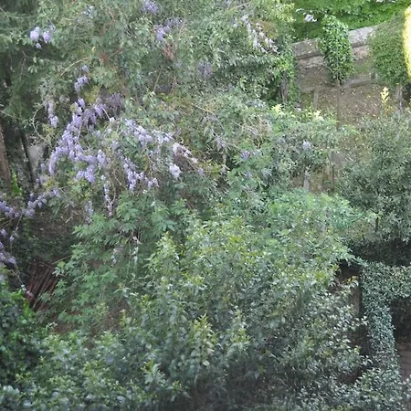 Il Profumo Del Lauro アパート