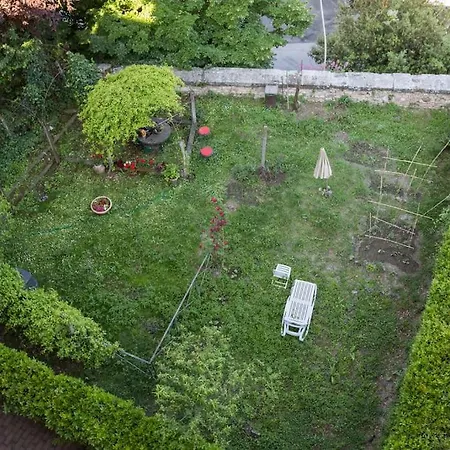 Il Profumo Del Lauro